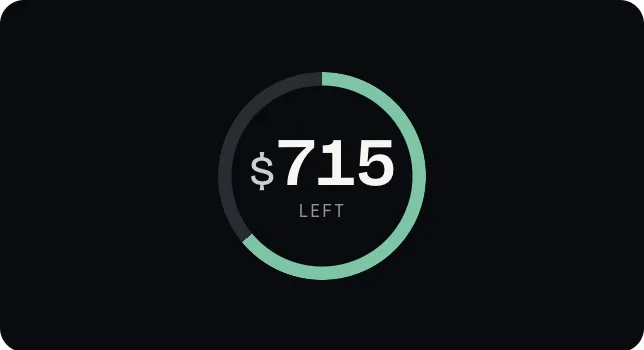 Trackly circular complication screenshot showing sample remaining balance